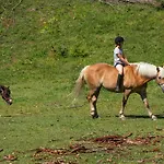 Bauernhof Stempf - 