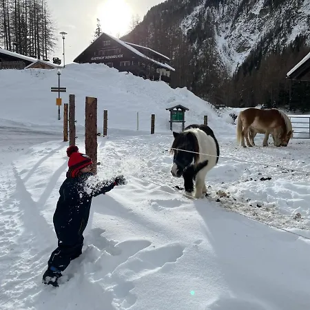 Bauernhof Stempf - 